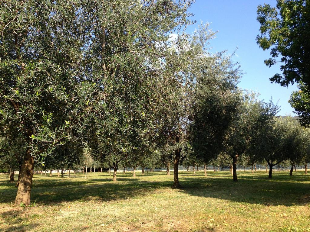 Agriturismo Corte Moranda Verona Exterior foto