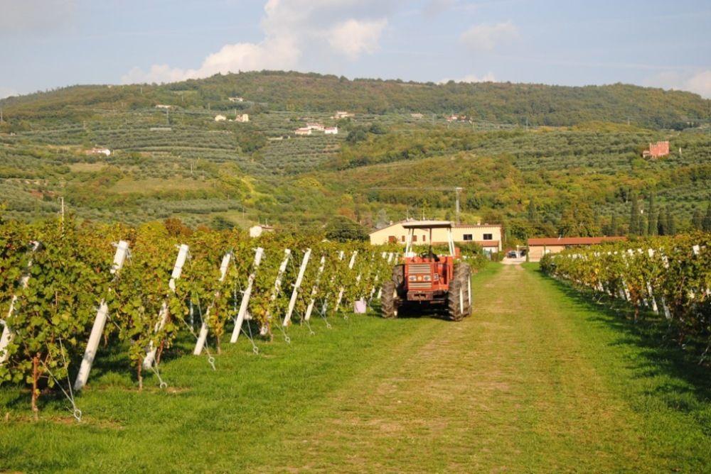 Agriturismo Corte Moranda Novaglie Exterior foto